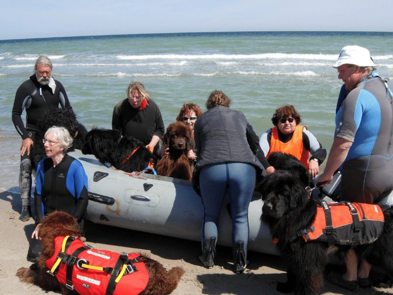 Reisende am Strand im Schlauchboot vor Tourbeginn in Neufundland