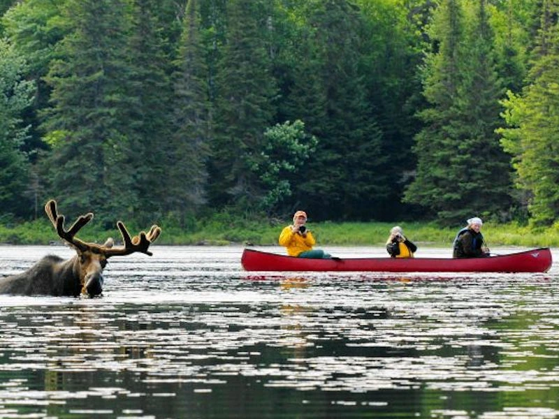 Kanada Rundreise mit Kanutour