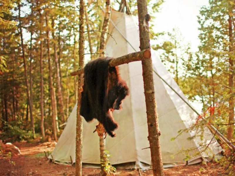 Tipis auf der Lagerstätte Matakan in Manawan mit Bärenfell