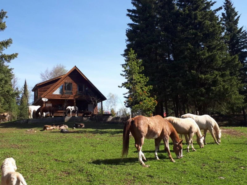 Blick auf die Ranch bei Cariboo, Kanada