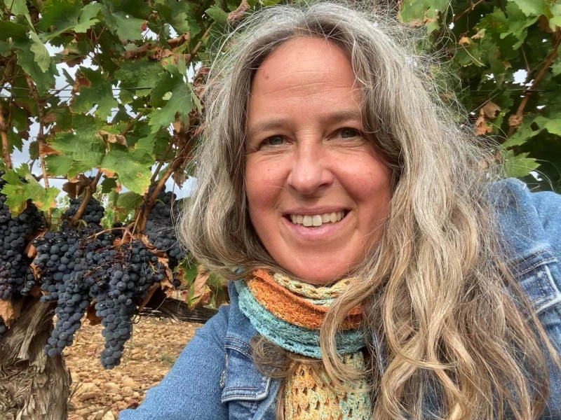 Reisende von Weinreben im Okanagan Valley, Kanada