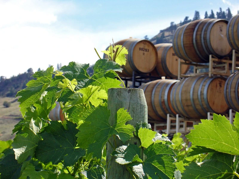 Weinfässer im Okanagan Valley, Kanada