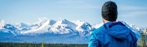 Reisender blickt auf den Denali Nationalpark in Alaska