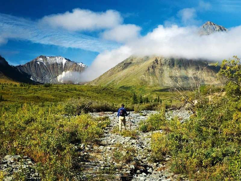 Wanderung im Kluane Nationalpark im Yukon, Kanada