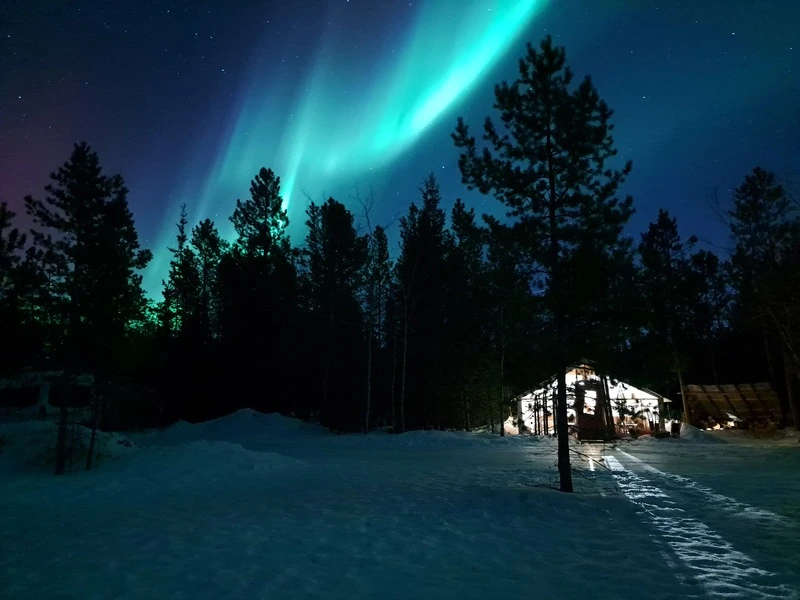 Nordlichter bei Whitehorse im Yukon, Kanada