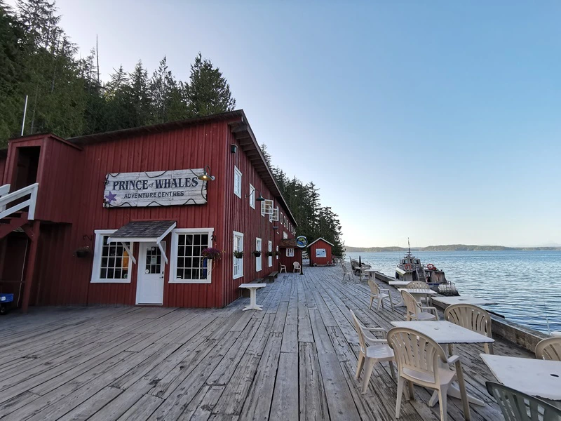 Tourenanbieter in Telegraph Cove