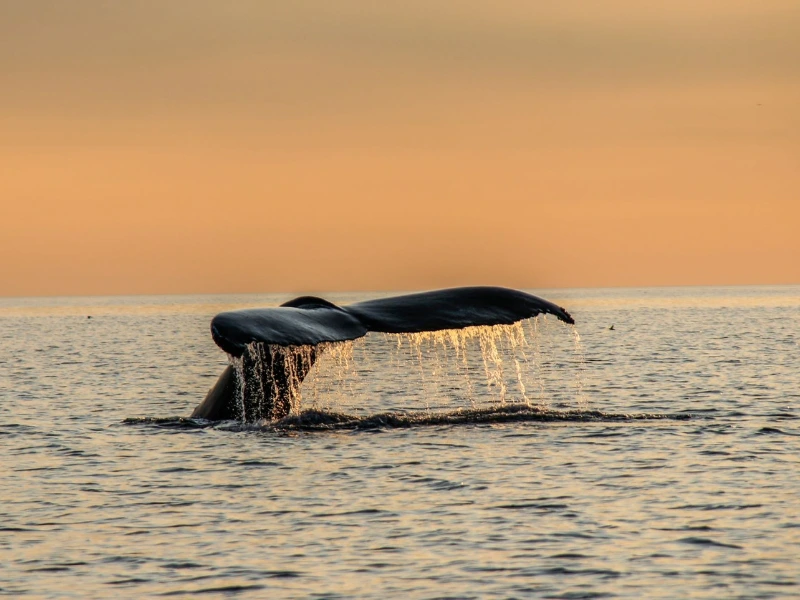 Atlantic Canada