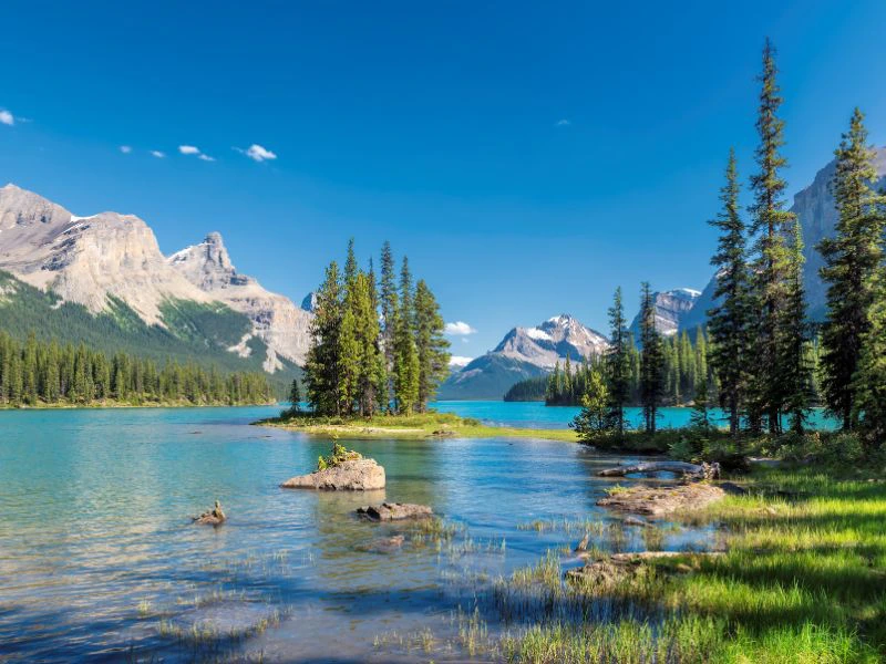 Insel im Lake Maligne bei Jasper