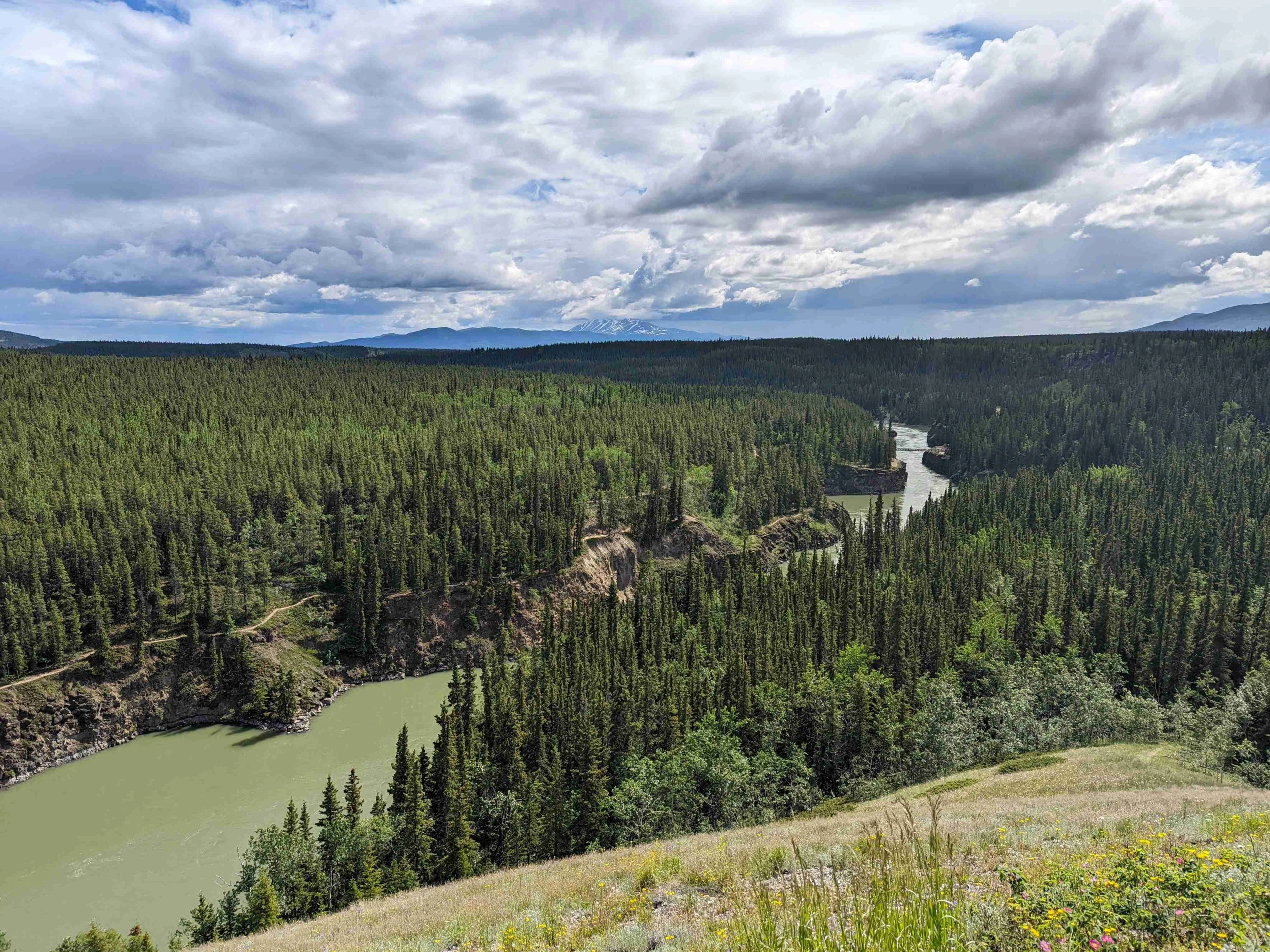 Ausblick über Miles Canyon und dem Yukon River, Whitehorse