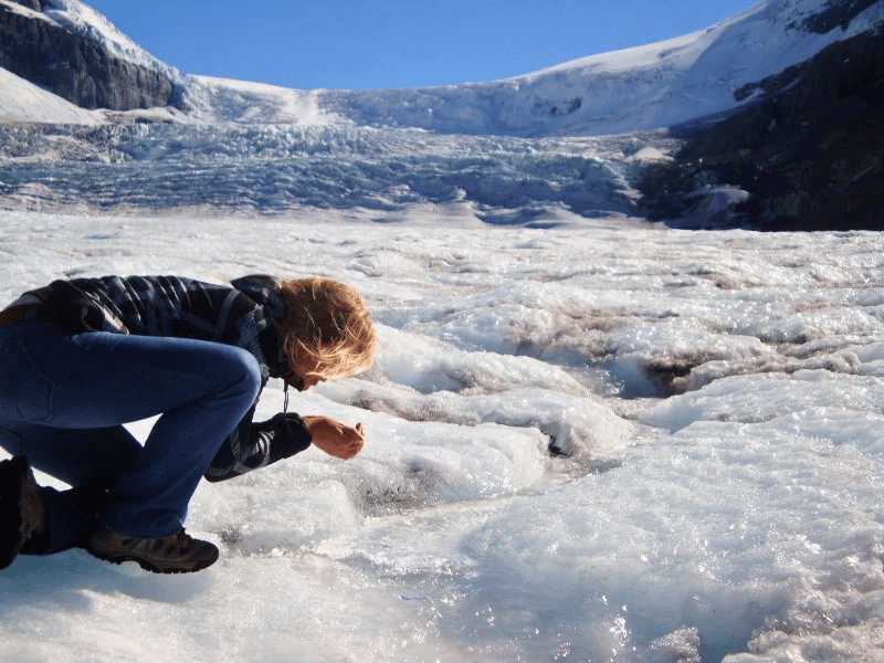 Stewart Salmon Gletscher
