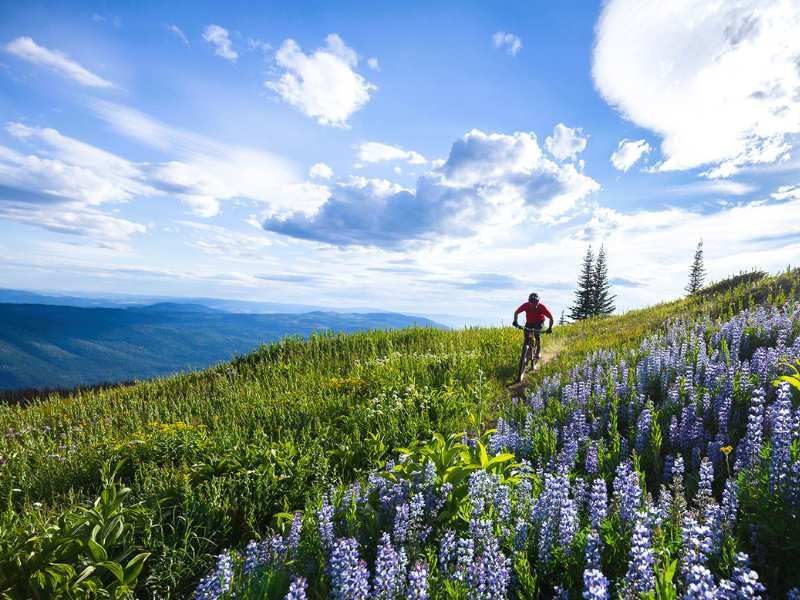 Kanada Rundreise Sun Peaks Radfahren durch die Landschaft