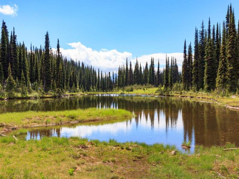 Kanada Rundreise Sun Peaks