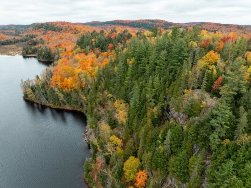 Luftaufnahme vom Algonquin der am Oxtongue Lake grenzt
