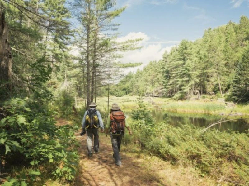 Wanderer im Algonquin Park