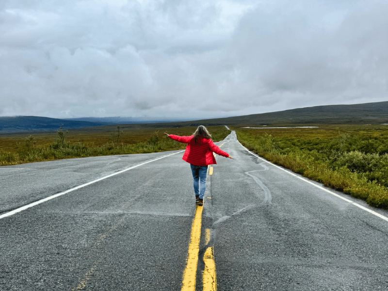 Einsame Straße im Denali Nationalpark