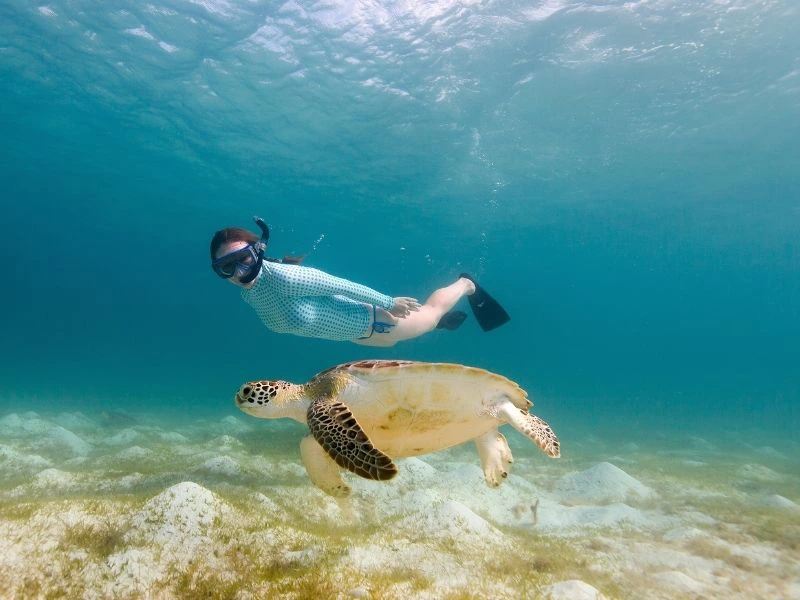 Schnorcheln mit Schildkröten Kapverden
