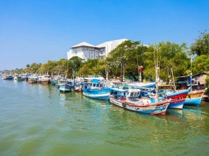 Fischerboote in Negombo in Sri Lanka