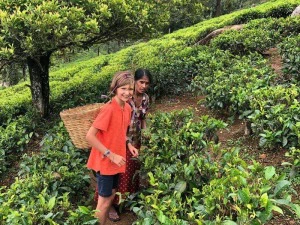 Tourist auf einer Teeplantage in Sri Lanka