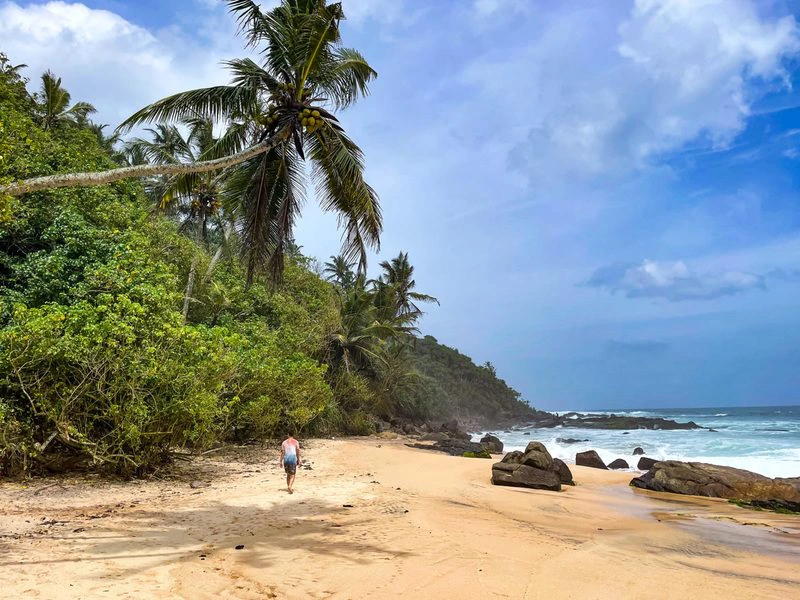 Tourist spaziert am Strand mit Palmen in Tangalle Sri Lanka