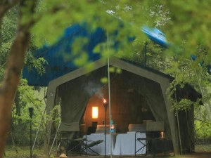 Safari-Zelt im Wilpattu Nationalpark in Sri Lanka