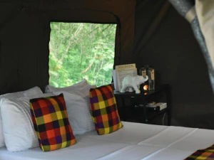 Safari-Zelt im Wilpattu Nationalpark in Sri Lanka