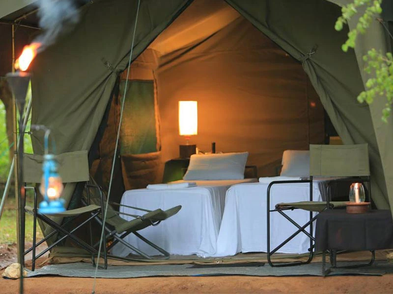Glamping Zelt im Yala Nationalpark