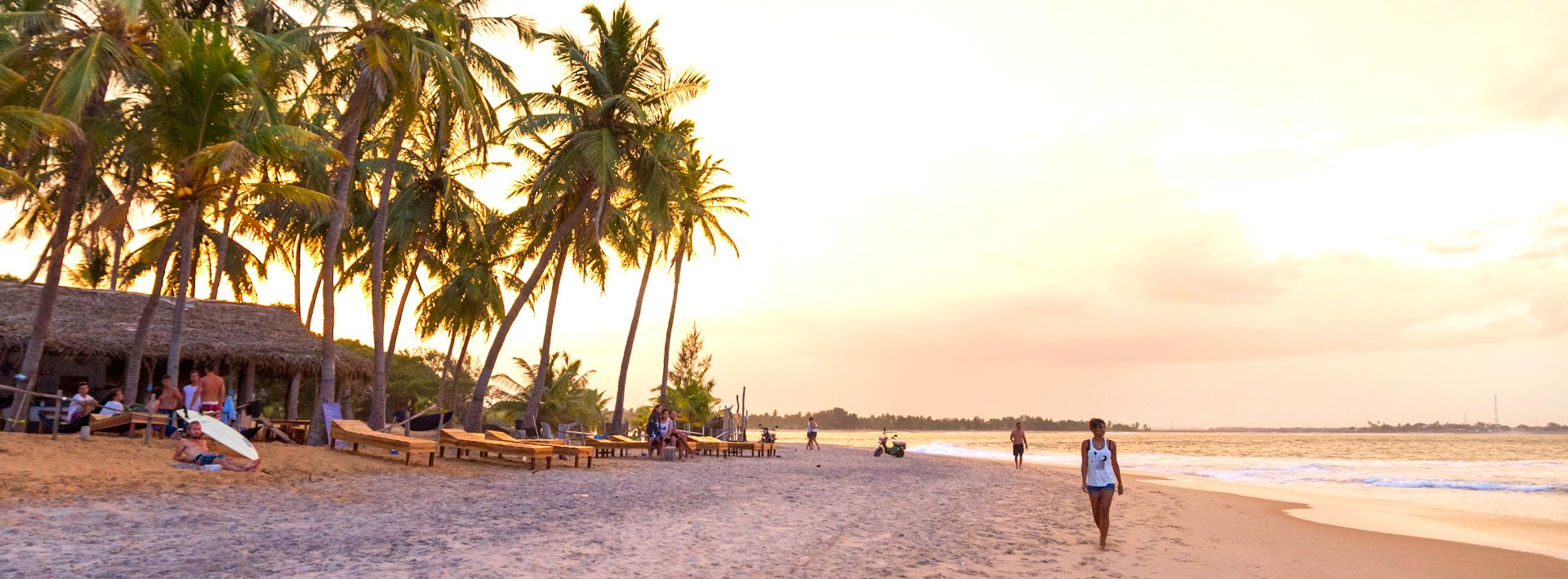 Strand mit Palmen von Arugam Bay in Sri Lanka