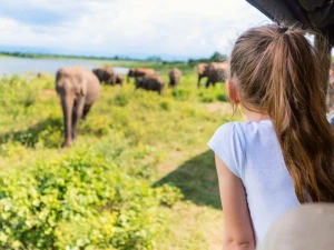 Kind beobachtet Elefanten im Yala Nationalpark in Sri Lanka