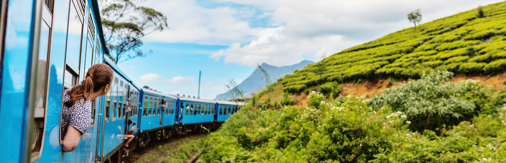 Zug zwischen Teeplantagen in Sri Lanka