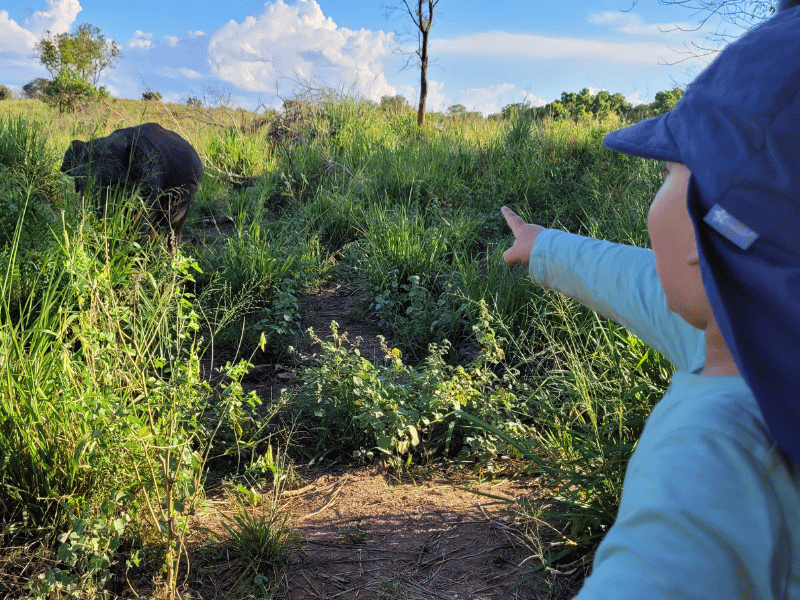 Kind sieht Elefanten auf Safari in Sri Lanka