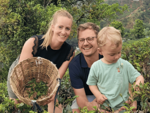 Familie beim Teepflücken in Sri Lanka