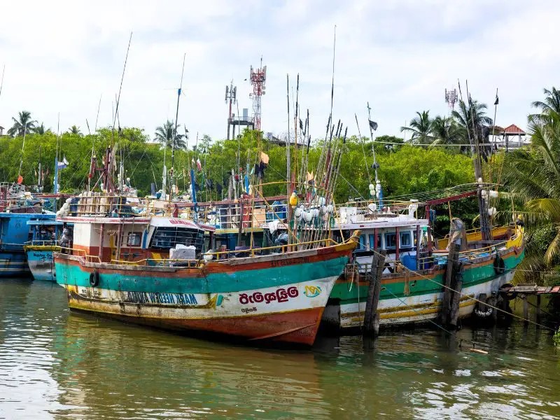 Fischerboot in der grünen Lagune in Negombo