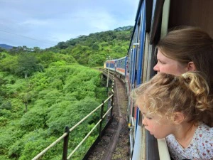 Kinder schauen auf dem Zug auf die Teehügel in Ella, Sri Lanka