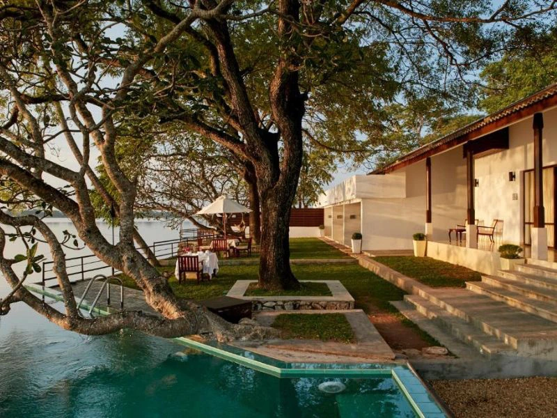 Pool der Special Stray Unterkunft in Polonnaruwa, Sri Lanka