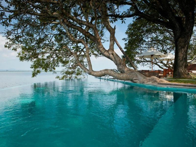 Pool der Special Stray Unterkunft in Polonnaruwa, Sri Lanka
