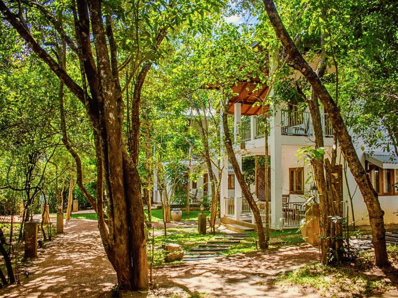 Komfortables Hotel in Sigiriya in Sri Lanka