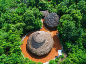 Strohhütten umgeben von grünen Bäumen in Sri Lanka