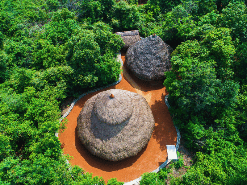 Strohhütten umgeben von grünen Bäumen in Sri Lanka