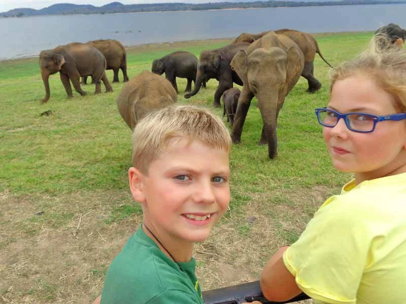 Kinder bei einer Elefanten Safari in Sri Lanka