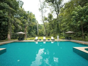Pool in der komfortablen Unterkunft in Kitulgala Sri Lanka