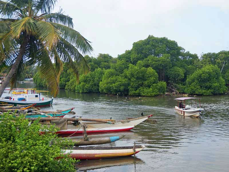 Lagune mit Booten in Negombo