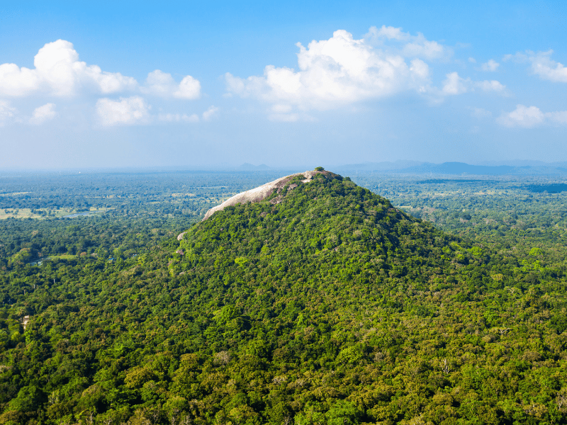 Blick auf den Pidurangala Rock in Sri Lanka