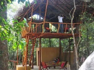 Baumhausunterkunft in Sri Lanka