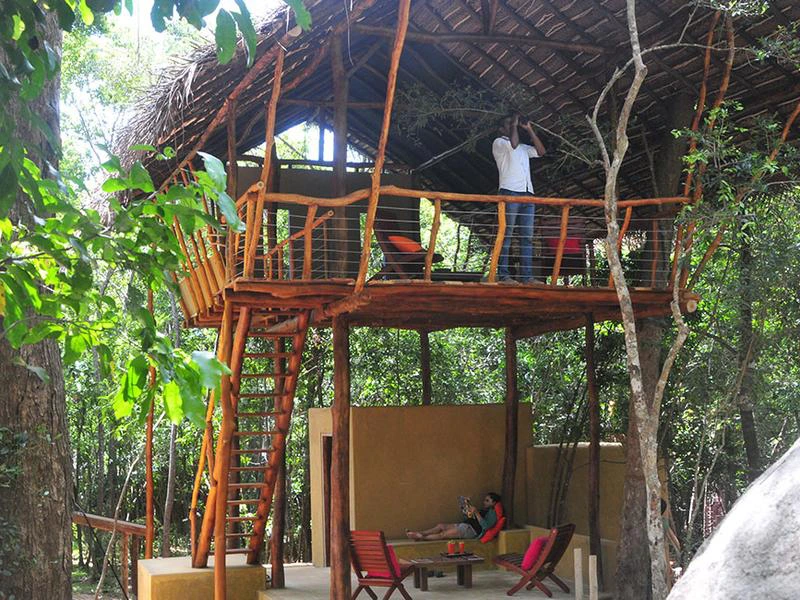 Baumhaus-Unterkunft bei Sigiriya in Sri Lanka