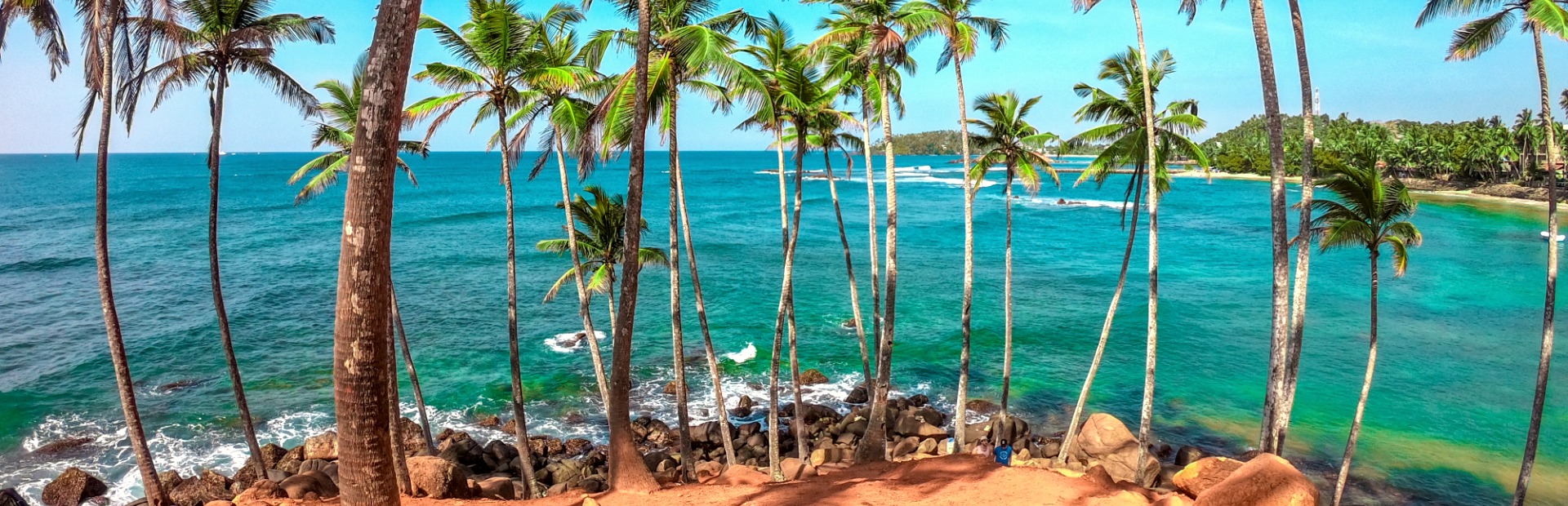 Palmen am Aussichtspunkt auf den Strand von Tangalle, Sri Lanka