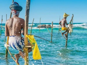 Stelzenfischer am Ufer der Weligama Bay in Sri Lanka
