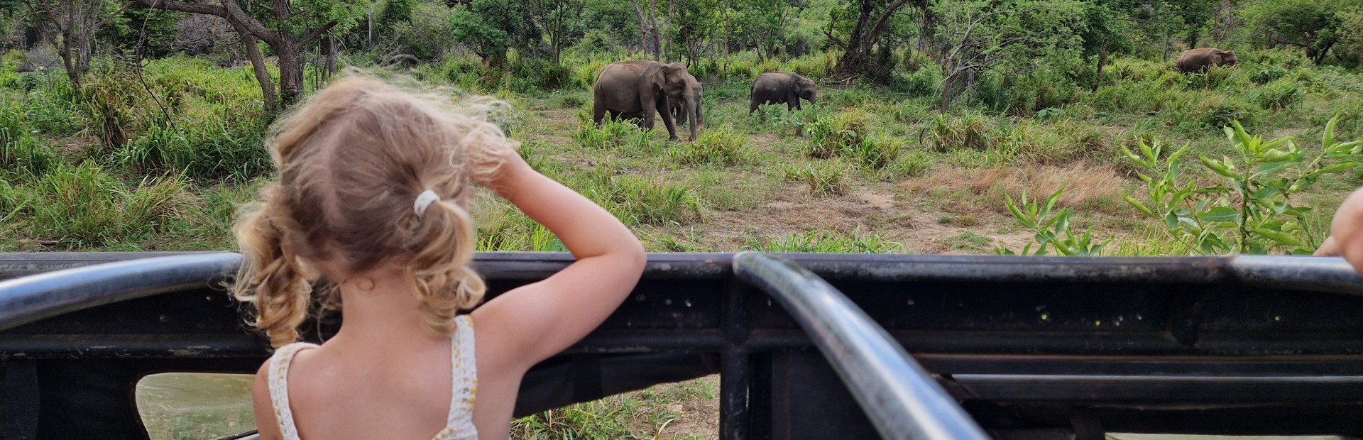 Mädchen vor Elefantenherde bei einer Jeep Safari in Sri Lanka
