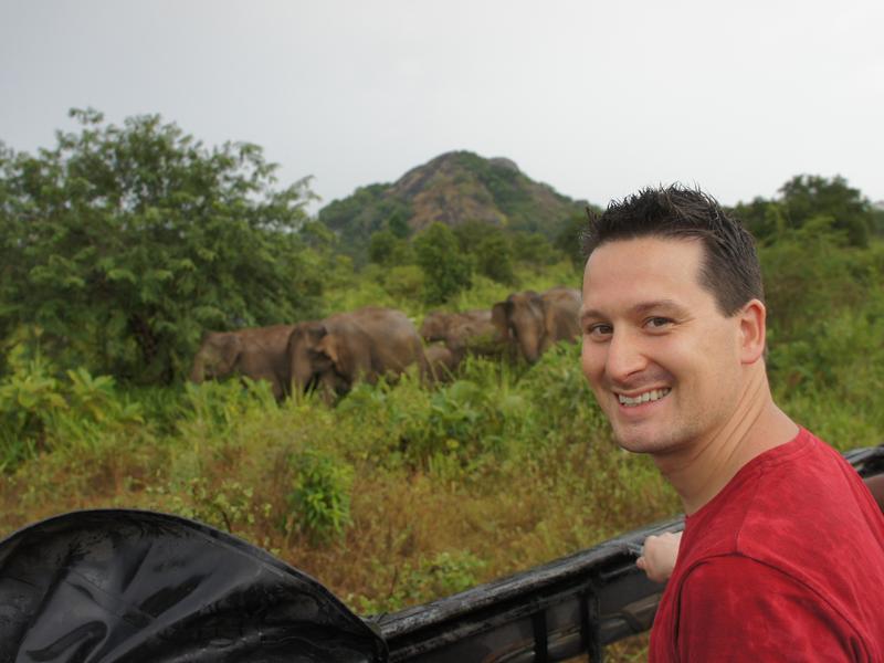 Mann vor Elefantenherde bei einer Jeep Safari in Sri Lanka