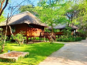 Namibia Okavango Fluss Familienreise Shakawe Außenanlage von der Unterkunft