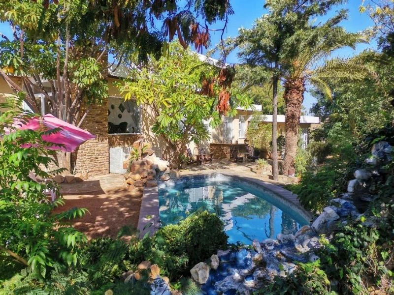 Namibia Windhoek Unterkunft Poolbereich mit gemütlichem Palmengarten
